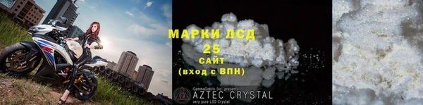 PSILOCYBIN Аркадак