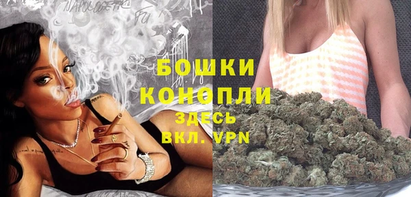 PSILOCYBIN Аркадак