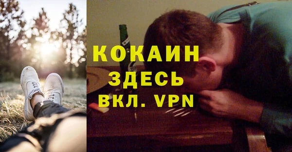 PSILOCYBIN Аркадак