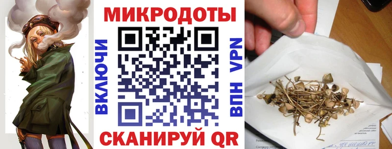 Псилоцибиновые грибы Cubensis  Сердобск 