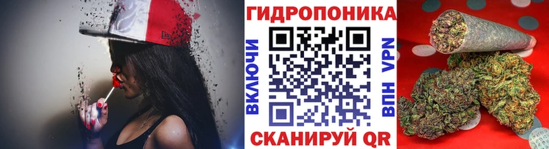 где купить наркотик  Сердобск  Бошки Шишки AK-47 